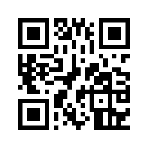 Direct Telecom Support WhatsApp channel